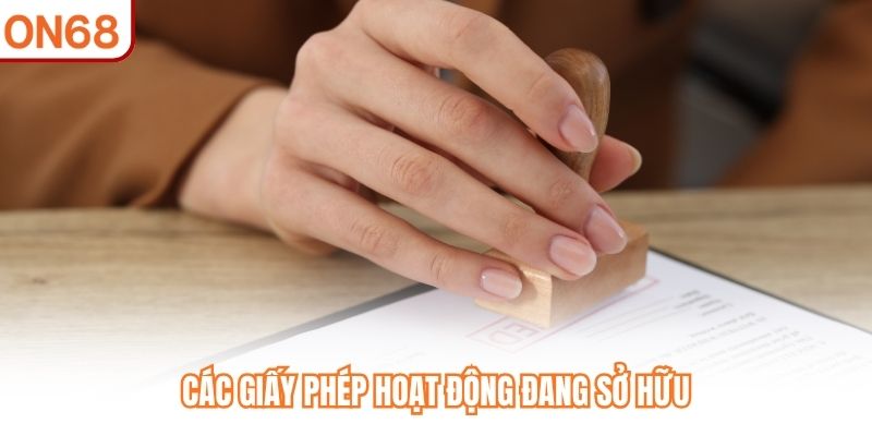 Các giấy phép