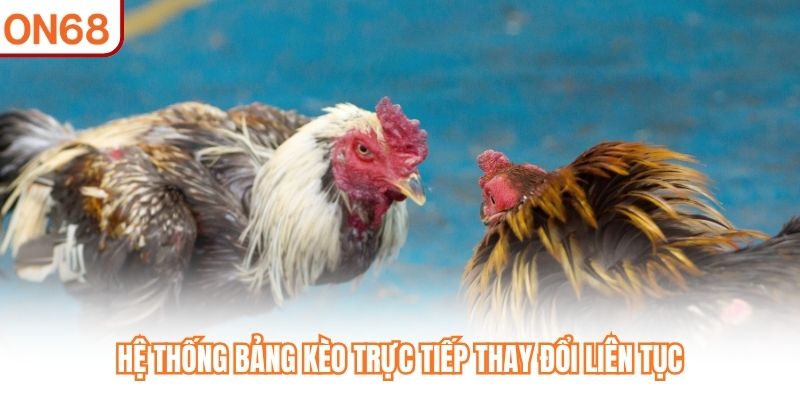 Hệ thống bảng kèo trực tiếp thay đổi liên tục