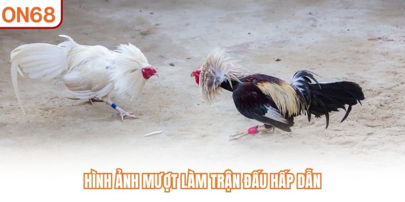 Hình ảnh mượt làm trận đấu hấp dẫn