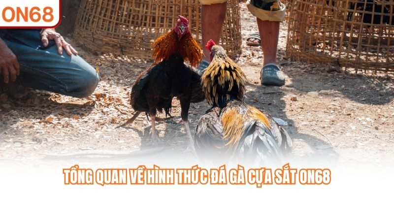 Tổng quan về hình thức đá gà cựa sắt ON68